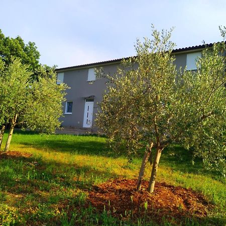 Apartments Valeria Divšići المظهر الخارجي الصورة