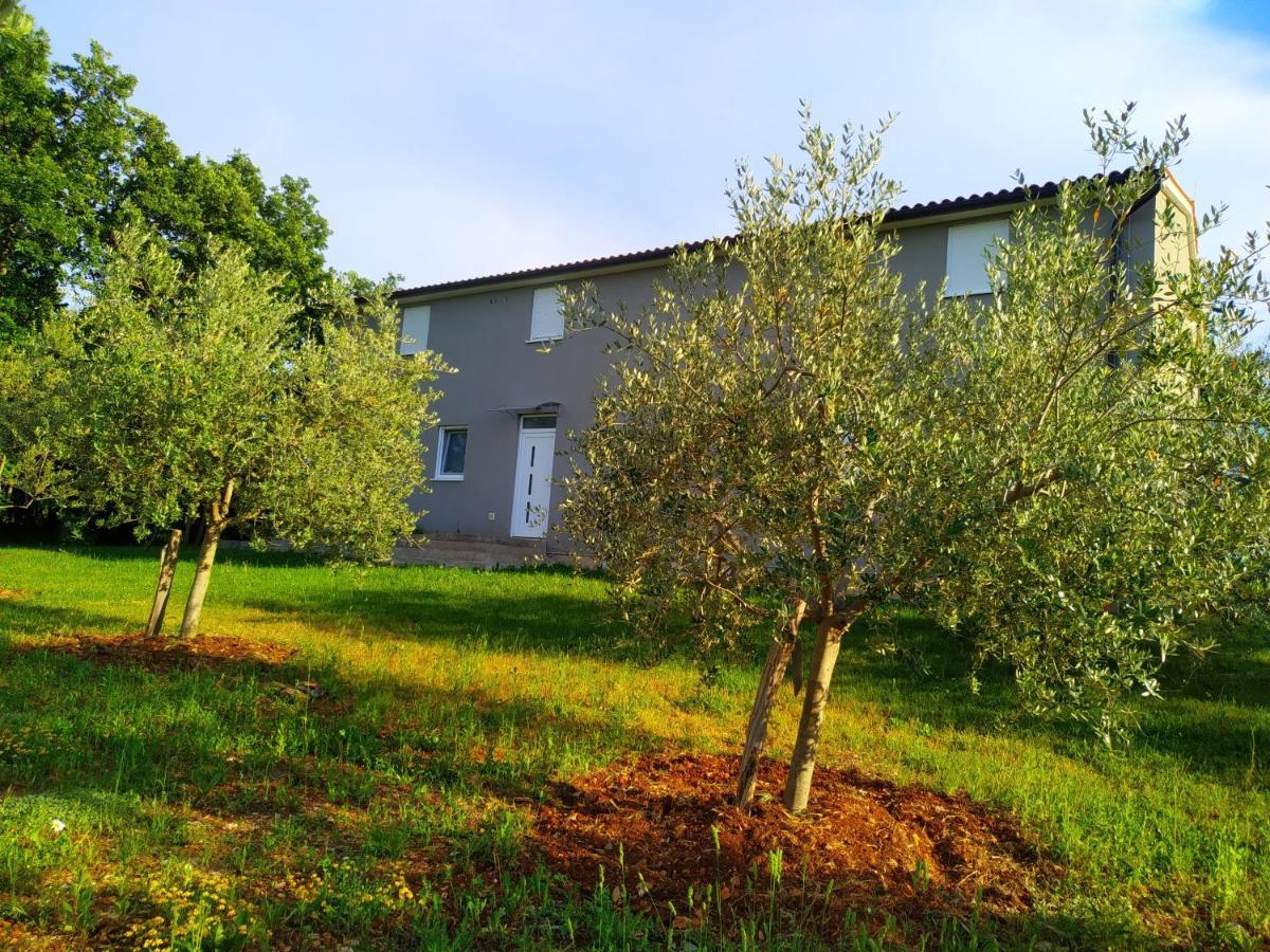 Apartments Valeria Divšići المظهر الخارجي الصورة